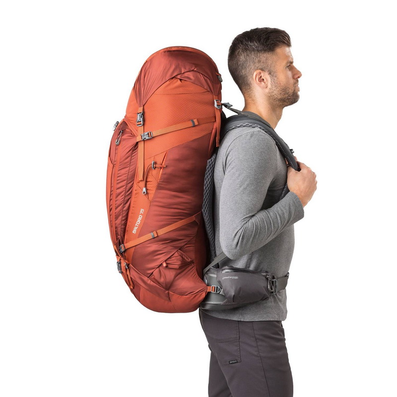 Gregory Baltoro 75L backpack side view