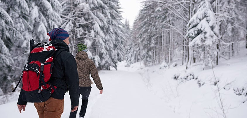 snowshoeing hiking winter