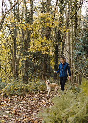 where to backpack with dogs in california