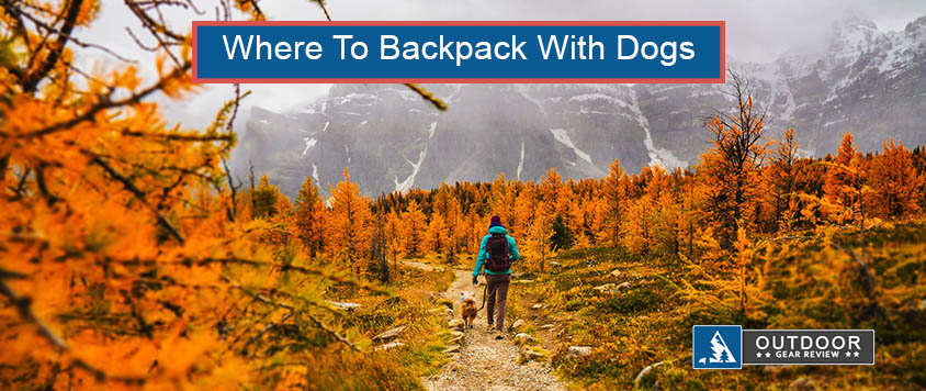 Where To Backpack With Dogs In California