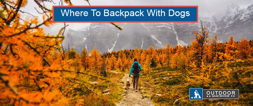 where to backpack with dogs in california