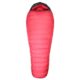 Western Mountaineering Bison Gore Windstopper Sleeping Bag