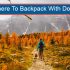8 Tips For Hiking With Kids